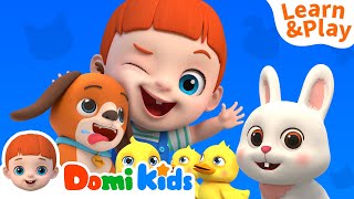 NEWLets Learn About Animals With Domikids  Kids Cartoons  Educational Videos [upl. by Hauser]