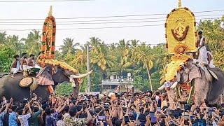 Parkkadi pooram  Thechikottukavu ramachandran Thrikkadavoor sivaraju Pambadi Rajan Ayyappan [upl. by Lubeck892]