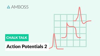 Action Potentials  Part 2 Neuronal Action Potentials [upl. by Rox]