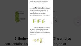 sexualreproductioninfloweringplantsclass12 megasporogenesis viralvideo studymotivation student [upl. by Ramirolg]