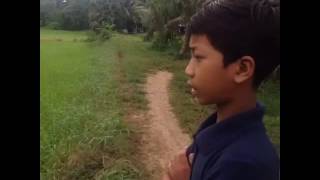 ស្រូវបាត់ដំបង  Rathanak Vibol  Yong Ye [upl. by Fidelia157]