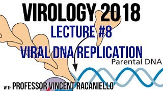 Virology Lectures 2018 8 Viral DNA Synthesis [upl. by Edeline523]