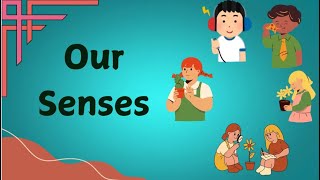 Sense Organs  Kids Learning EVS  Our Senses [upl. by Latin771]