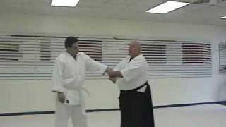 Hiriki Aikido Shiho Nage Tutorial [upl. by Eelarbed735]