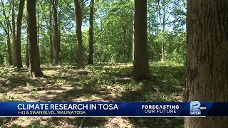 Climate adaptation research happening inside Wauwatosa forest [upl. by Zippora]