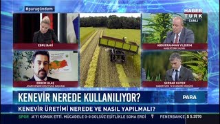 Kenevir nerede kullanılıyor  ASAM Kendir Enstitüsü Başkanı Erdem Ulaş [upl. by Jenica798]