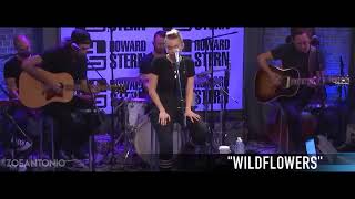 Miley Cyrus  Wildflowers cover live at Howard Stern [upl. by Atiekram]