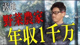 農家が年収1000万円の大台に乗るにはどれくらいの耕作面積があればいいか【露地野菜編】 [upl. by Ramyaj]