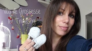 Vlog 1er Trimestre de Grossesse [upl. by Lynus]