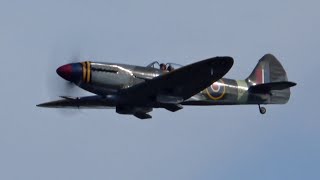 Spitfire Mk 18  37 litre Griffon powered V12 Beast [upl. by Labanna]