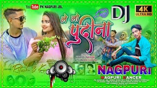 Le Lo Pudina Nagpuri Song  Suman Gupta New Sabse Hvy Dj Remix  New Nagpuri Dj Song  DJ Roshan SK [upl. by Namlaz]