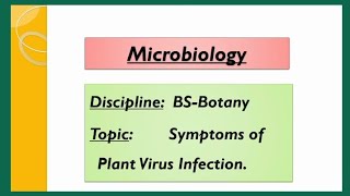 Symptoms of Virus Infected Plants  microbiology symptomsofviralinfectioninplants [upl. by Knighton]