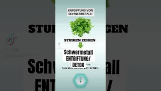 SchwermetallEntgiftungDetox foryou fürdich detox [upl. by Moersch]