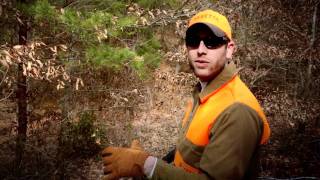 Rabbit Hunting in Virginia with Beagles  Cottontales TV [upl. by Fredra]