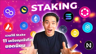 วิธี Stake 11 เหรียญคริปโตยอดนิยม  Crypto World EP1 [upl. by Okoyik]