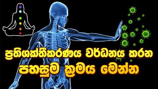 ප්‍රතිශක්තීකරණය වර්ධනය කරන පහසුම ක්‍රමය මෙන්න ayurveda arthritis arthritiscure immigration [upl. by Armalda364]