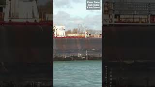 shorts John D Leitch 222m Cargo Ship In St Clair River ships [upl. by Amehsyt]