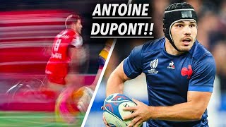 Antoine Duponts DOMINATING 202324 Highlights So Far [upl. by Harpole751]