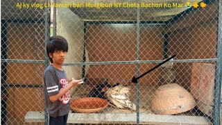 Aj ky vlog Li Hamari bari Murgioun NY Chota Bachon Ko Mar 😭🐥🐤 [upl. by Adlecirg]