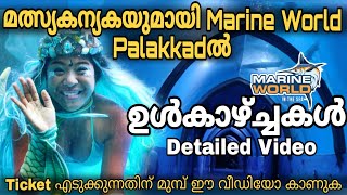 Marine World palakkadൽ  ഉൾകാഴ്ച്ചകൾ  Detailed Video Tunnel Aquarium  Kerala  Kl9 Amigos  Aju [upl. by Yremrej397]