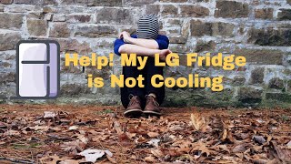 LG Fridge NotCooling Help My LG Fridge is Not Cooling Expert Tech Described What to Do Next [upl. by Morice42]