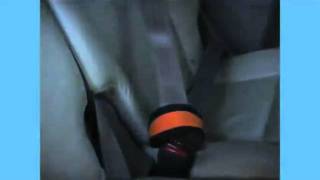 Kurgo Tru Fit Dual Walking amp Seat Belt Harness [upl. by Boar]