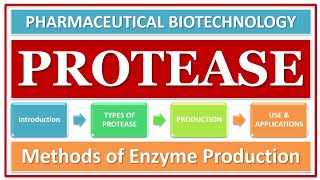 PROTEASE ENZYME  PART2  PRODUCTION OF MICROBIAL PROTEASE ENZYME  FERMENTATION  SCREENING [upl. by Eriam]