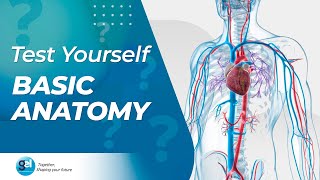 Basic Anatomy Quiz I Certified Phlebotomist I Global Edulink [upl. by Croydon297]