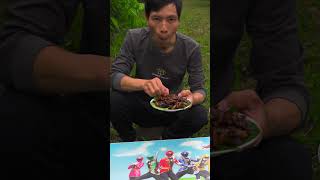 Eat stink bugs  Mukbang [upl. by Gilroy489]