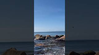 timelapse of the brook at the brickyard in chilmark on marthasvineyard [upl. by Ayar232]