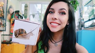 GARDEN SNAIL MAIL snail unboxing [upl. by Ailee]