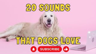 20 Sounds that Dogs Love [upl. by Rubma]