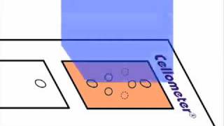 How Dualfluorescent AOEB Assays Work for Cell Concentration and Viability [upl. by Noemys]