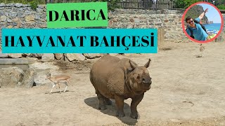 Darıca Hayvanat Bahçesi Gezisi [upl. by Adidnac]