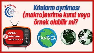 PANGEA Evrim ağacından yanlış ve yanıltıcı bir analoji daha [upl. by Bud]