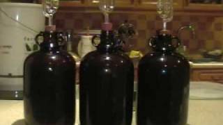 How to Make Wine from Grapes at Home [upl. by Margarethe184]