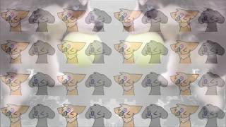 kittydog animation edit Ignition [upl. by Healy]