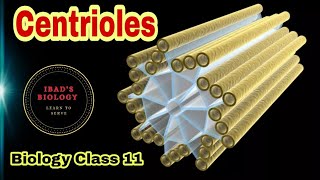 Centrioles  Cell structure and functions  Ibad Biology [upl. by Daveda]