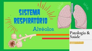 Histologia do Sistema Respiratório Alvéolos e ductos alveolares [upl. by Basham165]