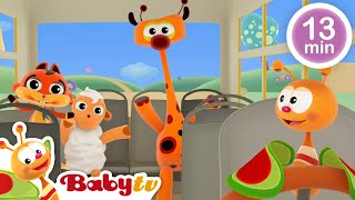 De Wielen van de Bus 🚍  meer kinderliedjes en kinderrijmpjes BabyTVNL [upl. by Shoshana]