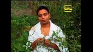 Ayurvedic use Prickly Chaff Flower Apamarg Patrt 01 [upl. by Eedrahs]