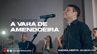 MENSAGEM  A VARA DE AMENDOEIRA  PASTOR GABRIEL MOUSINHO [upl. by Marcelle332]