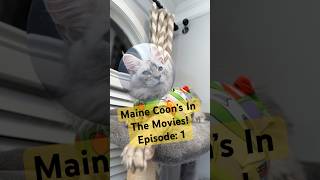 Maine Coons in the movies Episode 1 Toy Story edition mainecoon toystory funnycatvideos [upl. by Hnad30]