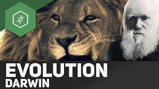 Evolutionstheorie von Charles Darwin [upl. by Navnod267]