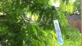 Japanese Wind Bell  Furin [upl. by Kilby]