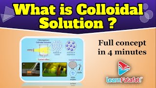 CBSE Class 9 Science Is Matter Around Us Pure  What is Colloidal Solution  Colloids [upl. by Selinda397]