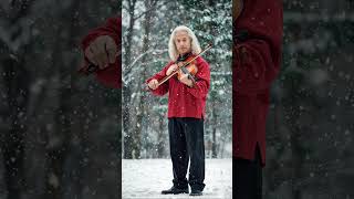 The Most Beautiful Melodies Scenes in WinterThe Four Seasons  Vivaldi shorts [upl. by Eidnahs]