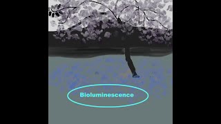 Bioluminescence  Kidz Learn Applications™ [upl. by Vidal]