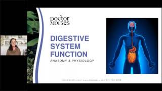 Insight into the Digestive System Function amp Therapeutics [upl. by Igal]