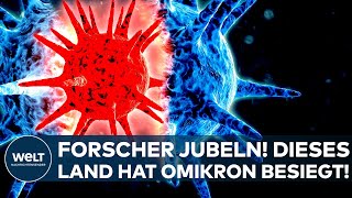 CORONA Forscher jubeln bereits Omikron besiegt  So ist die aktuelle Lage in Südafrika [upl. by Ahsitaf165]